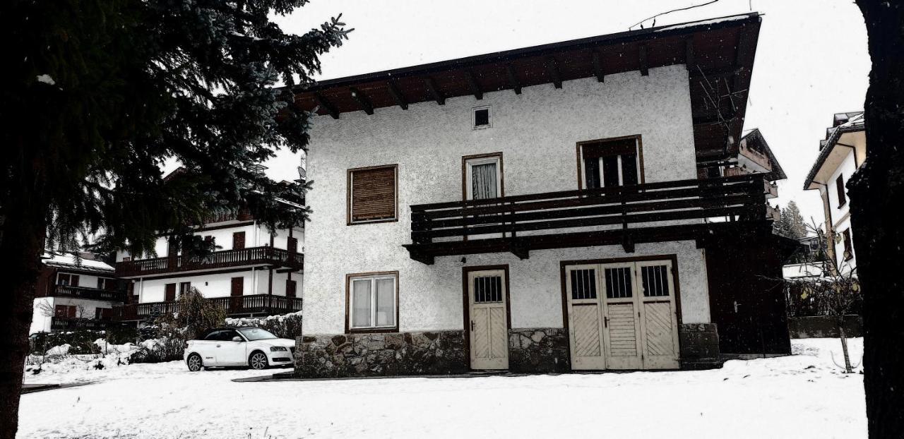 Luminoso Ed Accogliente, Centralissimo Appartamento Indipendente Cortina dʼAmpezzo Exteriör bild